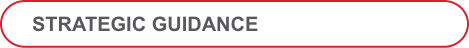 STRATEGIC GUIDANCE
